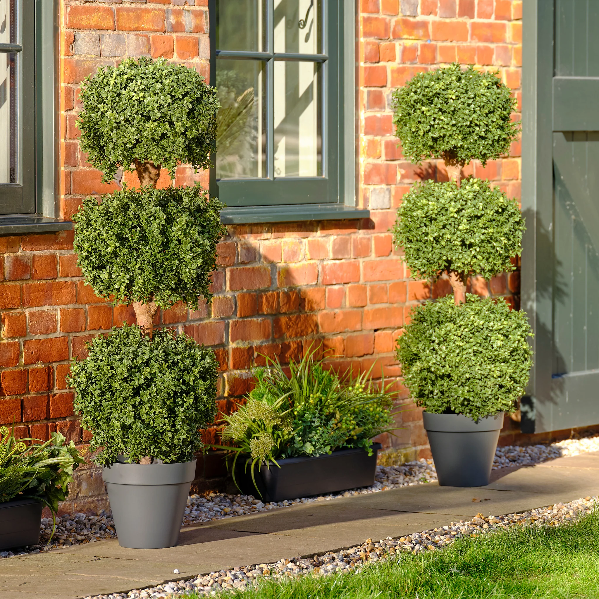 Topiary trees